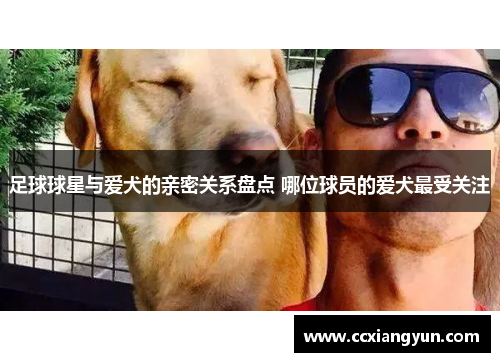 足球球星与爱犬的亲密关系盘点 哪位球员的爱犬最受关注