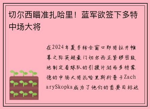 切尔西瞄准扎哈里！蓝军欲签下多特中场大将